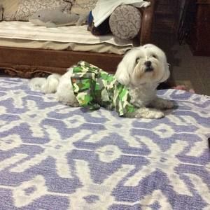 Meet your Posher, La vera